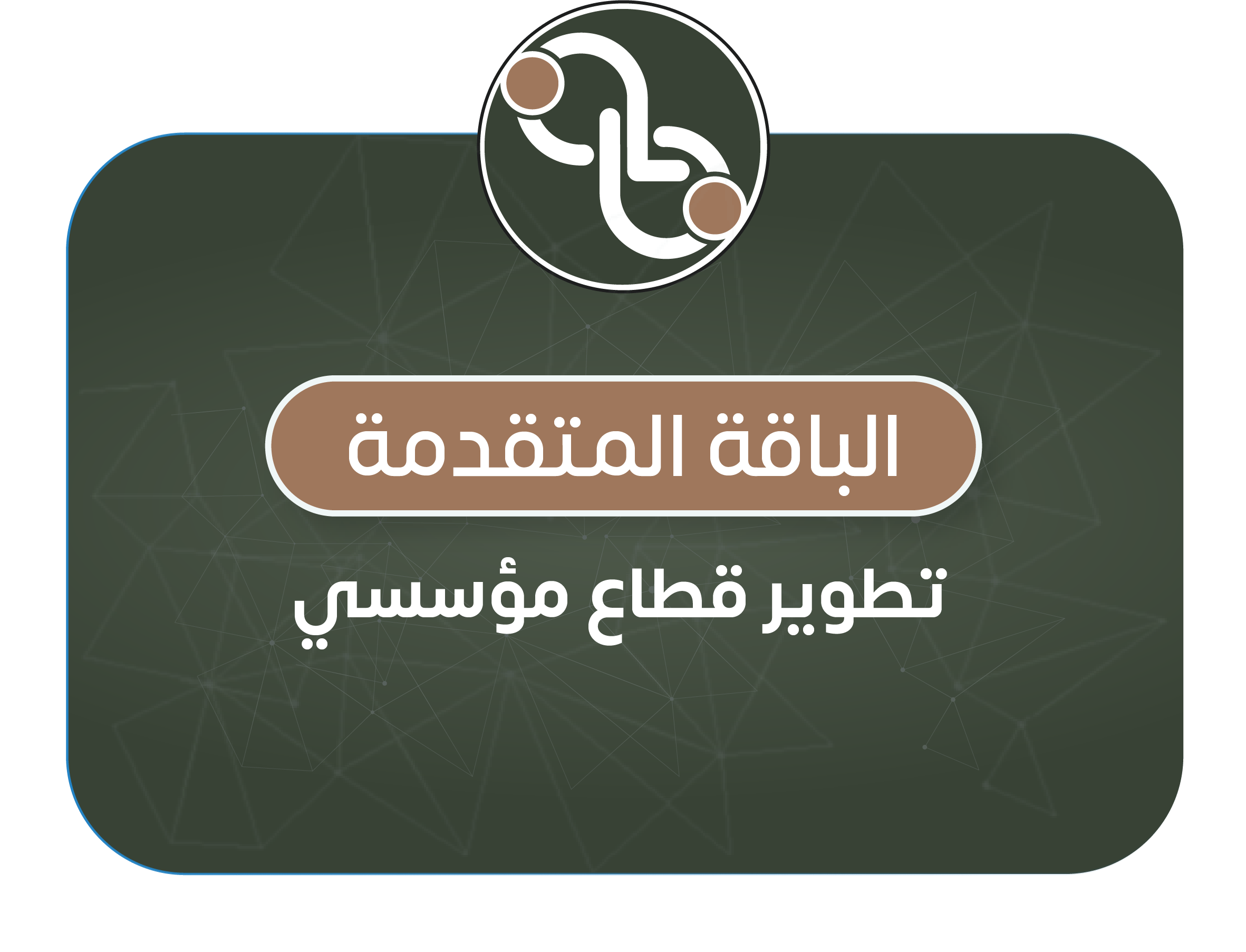 الباقة المتقدمة – تطوير قطاع مؤسسي